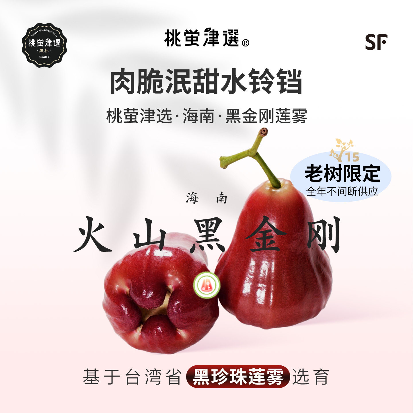 桃萤津选 火山黑金刚莲雾 泯甜水铃铛  陵水老树产 礼盒 SF,水产肉类/新鲜蔬果/熟食,莲雾,淘宝优惠券,粉丝福利购,淘宝优惠卷