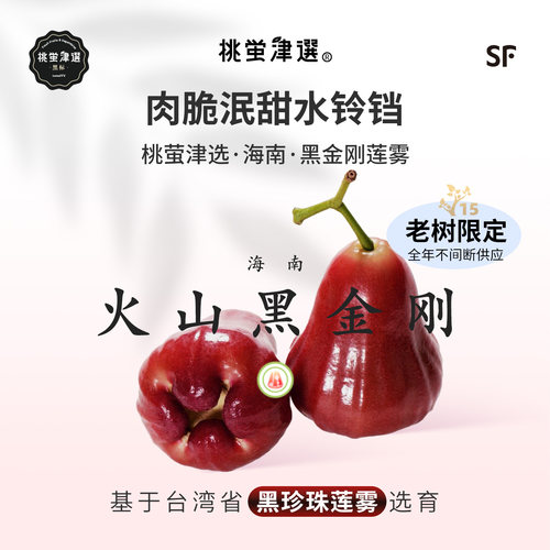 桃萤津选 火山黑金刚莲雾 泯甜水铃铛  陵水老树产 礼盒 SF