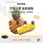 桃萤津选 礼盒 芒果凤梨 万宁火山红土种植 台农23号引培 稀