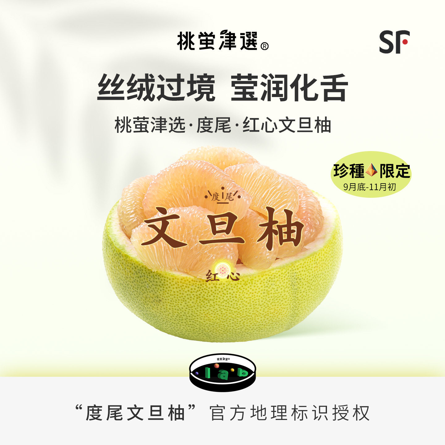 桃萤津选 度尾文旦柚 正宗仙游度尾百年红心贡柚 山地产 礼盒 SF
