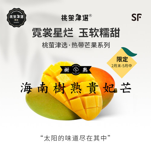 真树上熟！海南树熟贵妃芒礼盒装