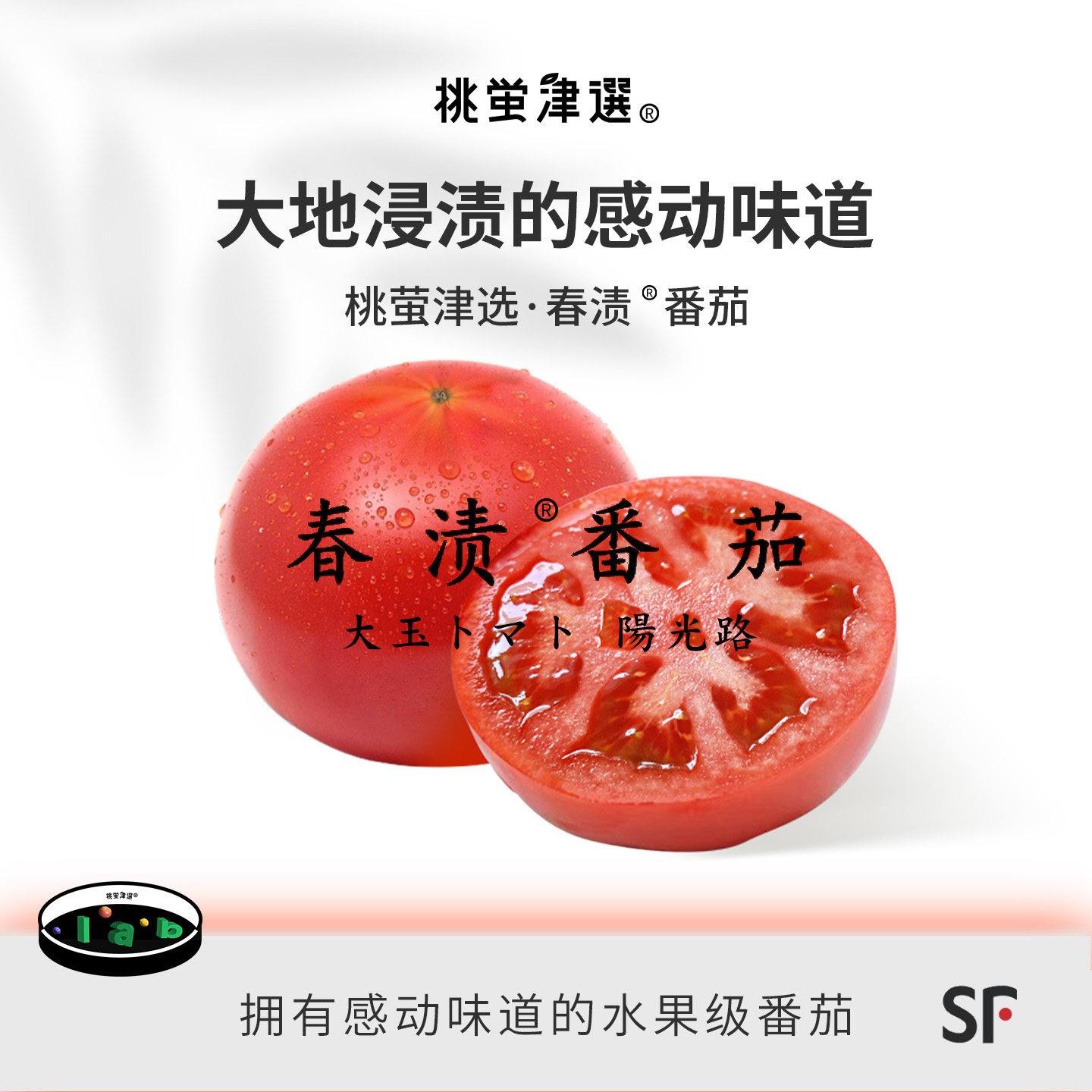 桃萤津选 春渍™番茄 日本光树同源 高鲜浓醇 10年匠植 礼盒装 SF