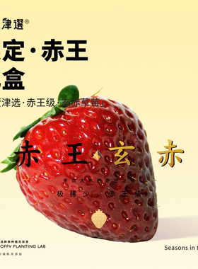 大粒严选！桃萤津选 玄赤®草莓「限定·赤王」礼盒装 黑珍珠改良