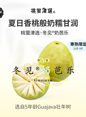 即食！桃萤津选 冬见®奶芭乐 香桃般奶糯甘润 寒熟限定 礼盒装SF