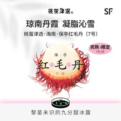 雨林区凝脂毛荔！保亭7号红毛丹