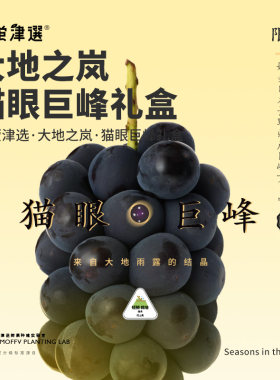 猫眼果型！日引猫眼巨峰葡萄礼盒