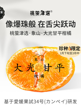稀！桃萤津选 大光甘平柑橘 日引大粒果肉新种 象山定塘产 礼盒SF