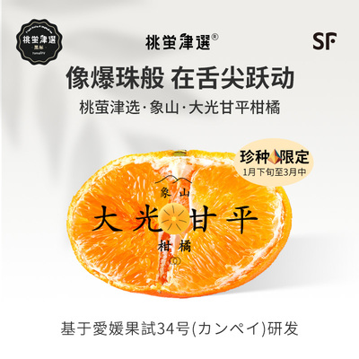 日引大粒新种！大光甘平柑橘礼盒