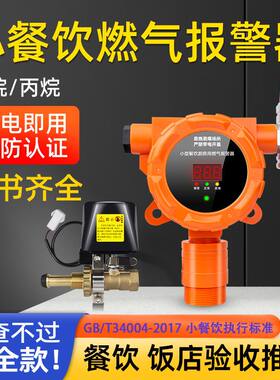煤气泄漏报警器商用无线切断阀煤气液化气罐天然气燃气煤气安全阀