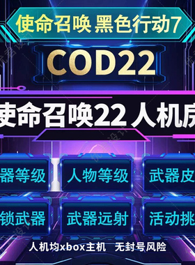使命召唤COD22黑色行动bo7人机房 武器 人物等级 迷彩刷枪房 代肝