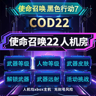 使命召唤COD22黑色行动bo7人机房 武器 人物等级 迷彩刷枪房 代肝
