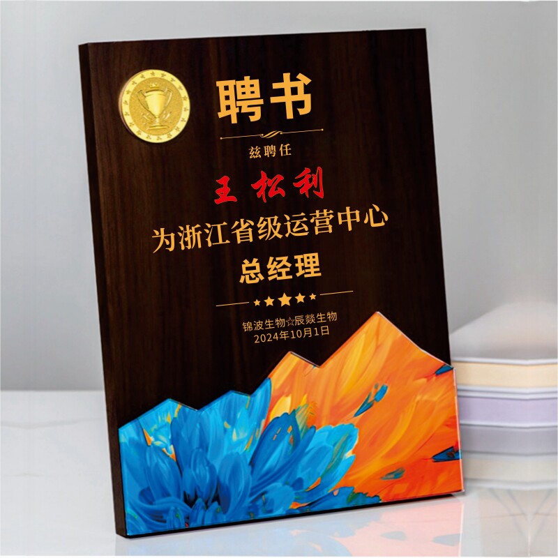聘书定制高级感外壳代做证书任命书证书定制委任书任命清华聘书定做委任证高端捐资助学牌匾聘任仪式奖牌
