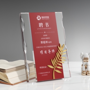 红色高档水晶聘书定制摆台外壳红绒面烫金内页定做顾问招商大使任命书专家聘任书感谢状表扬信高级证书荣誉证