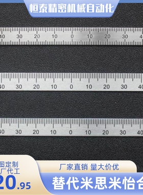 标尺刻度尺纵向型BLR51 52 55 56 61 62 65 66 67-L100 L200 L300