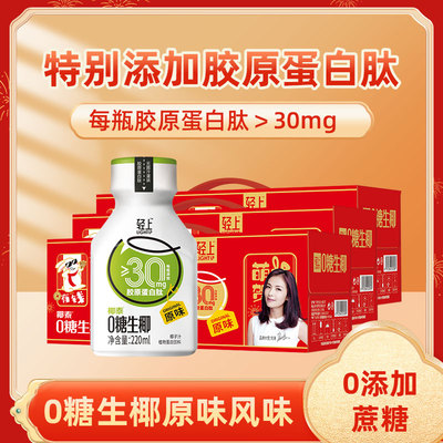 0糖椰子汁无添加过节送礼礼盒