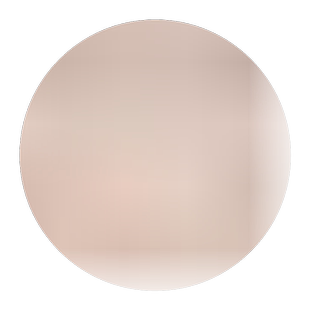 大叶冬青球 小叶黄杨球 四季常青冬青球型庭院围墙篱笆树绿化苗木