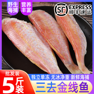去头金线鱼红杉海鱼商用海鲜