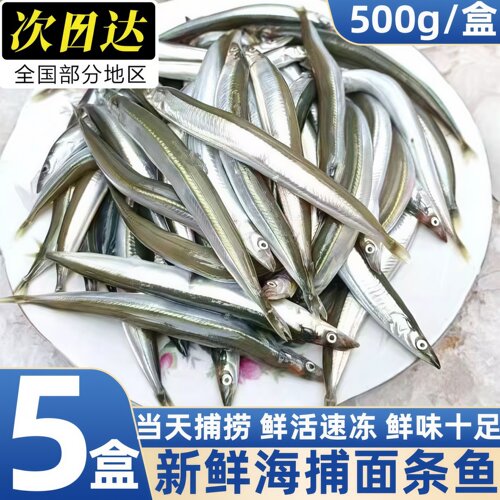 青岛海捕鲜冻面条鱼批发