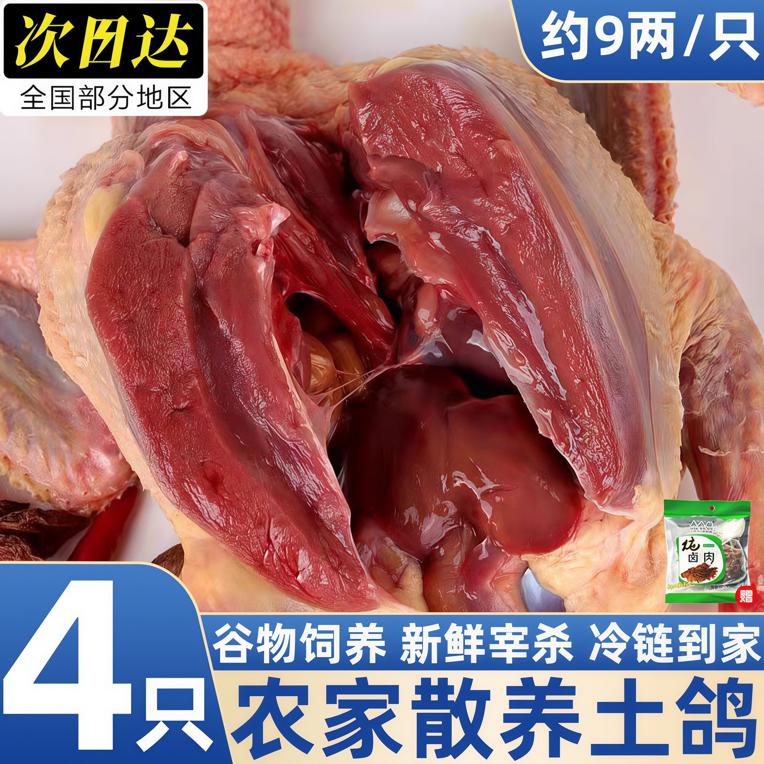 农家散养现杀新鲜土鸽子肉煲汤