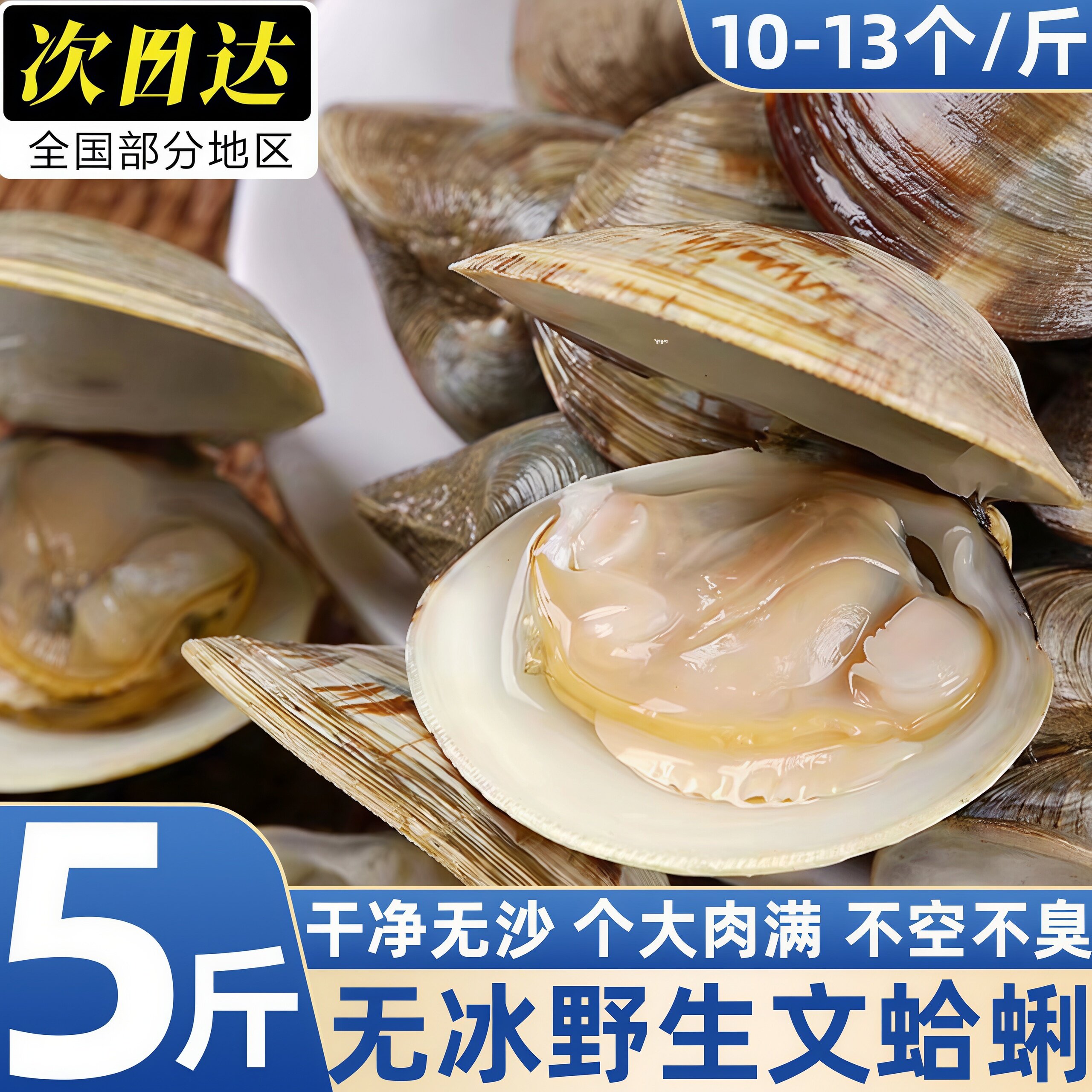丹东大文蛤冷冻无沙大个海鲜