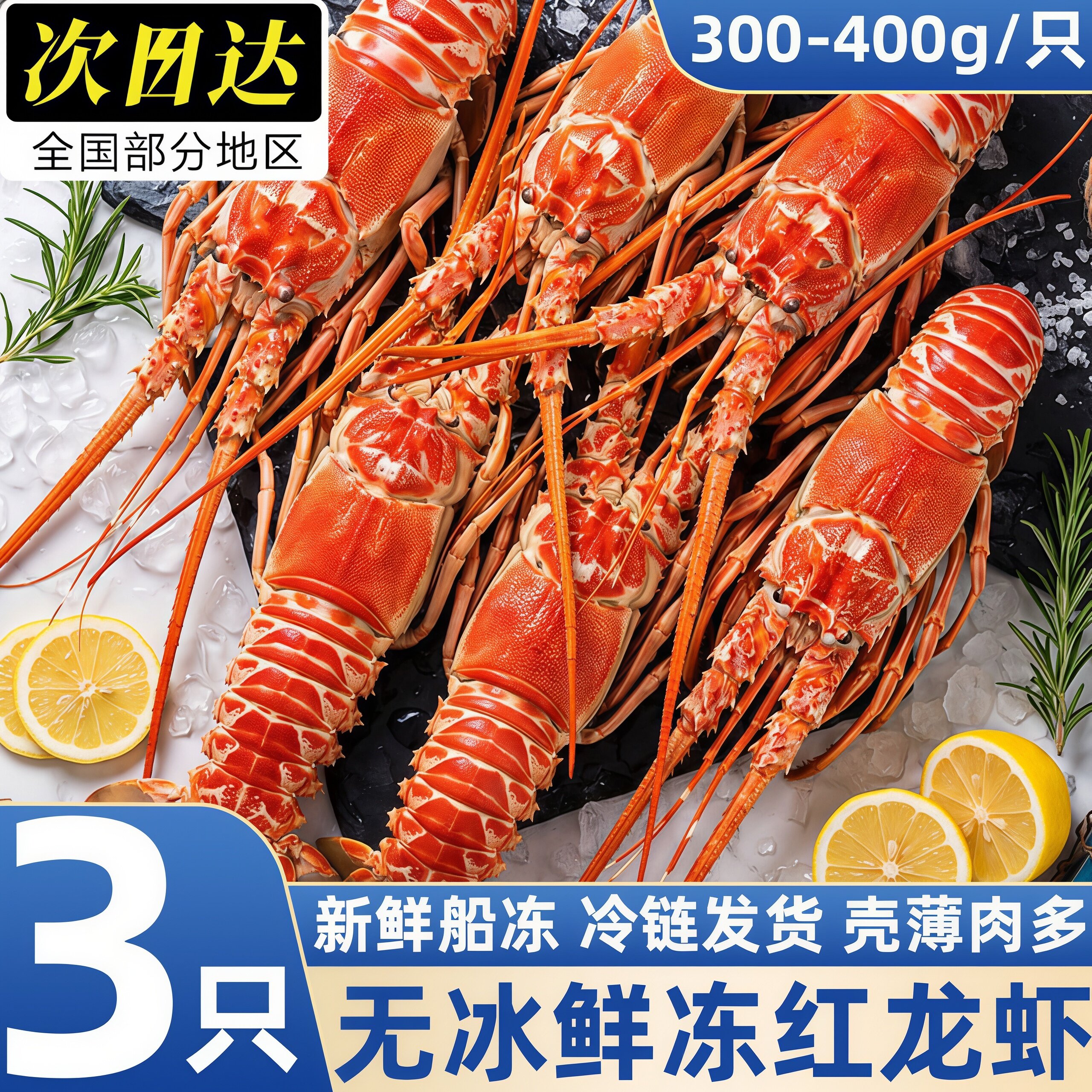 鲜活超大红龙虾波斯顿角脊龙虾