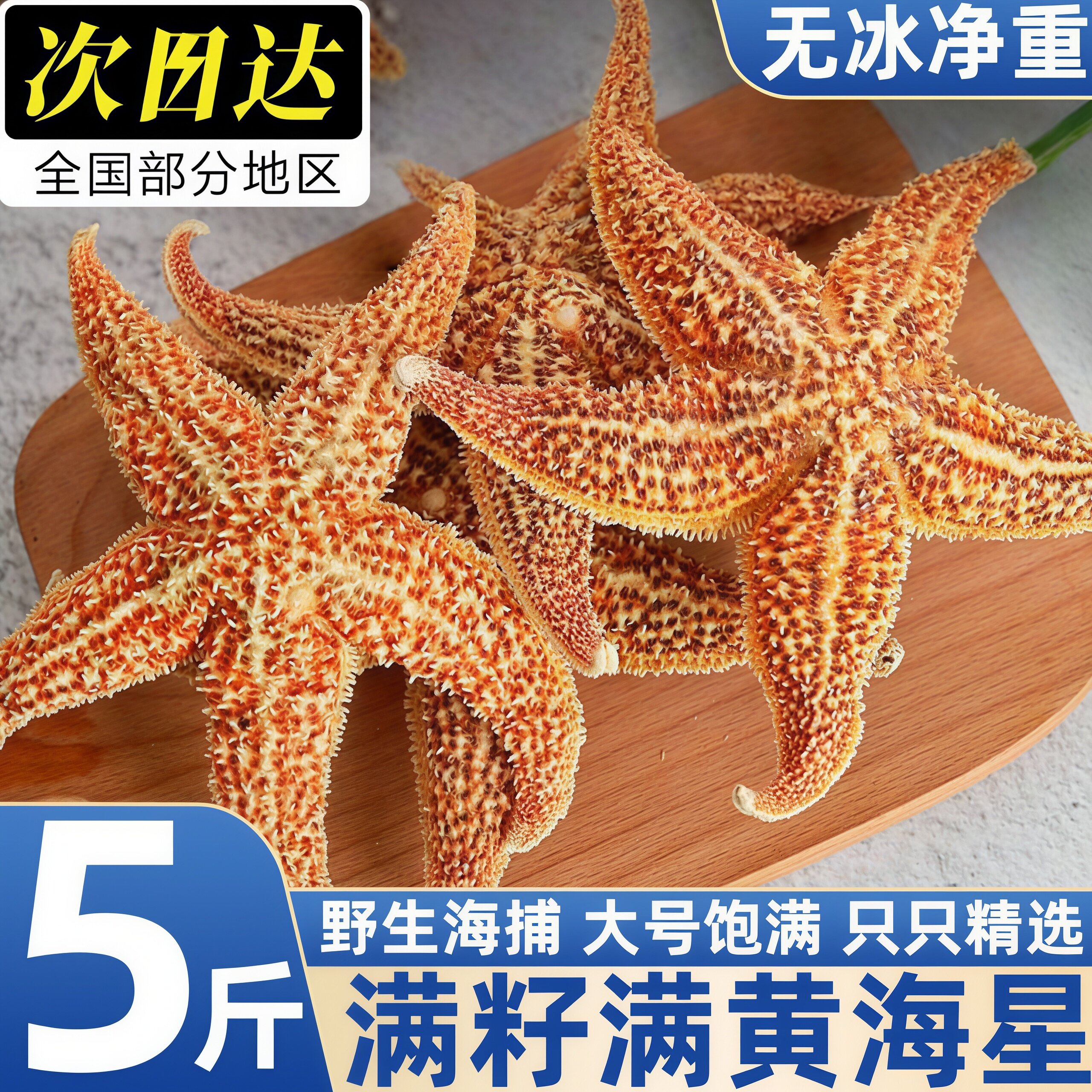 野生海捕满籽速冻海星