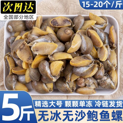 丹东速冻黄金鲍鱼螺假鲍鱼