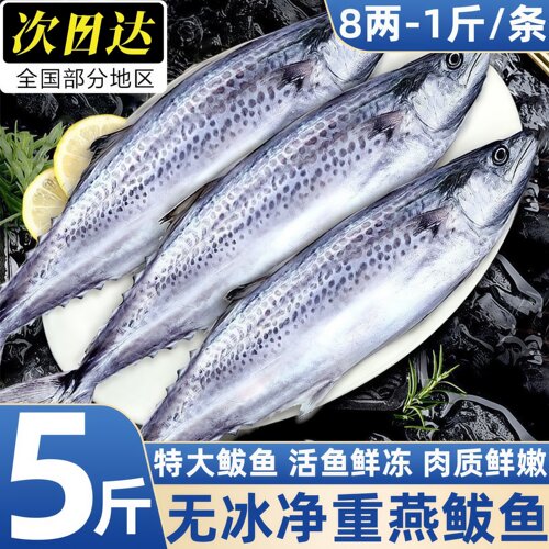 青岛新鲜冷冻整箱鲅鱼顺丰