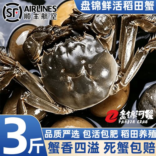 盘锦鲜活大闸蟹无绳净重包赔