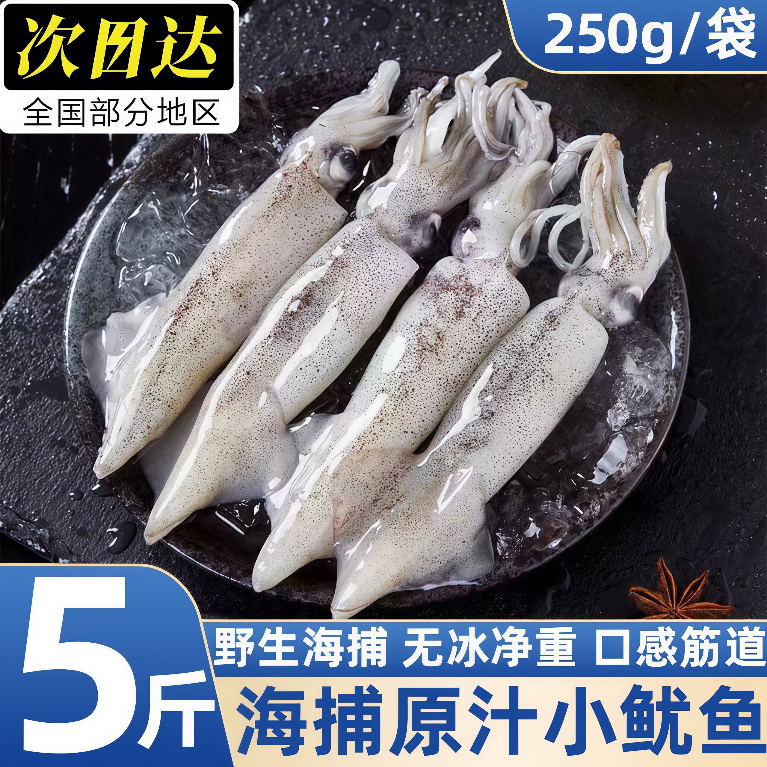 山东青岛冷冻鱿鱼商用批发