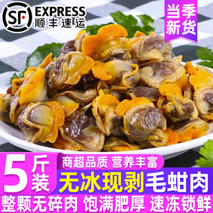 毛蚶赤贝肉小毛蚬子非即食净肉新鲜速冻海鲜量大商用批发顺丰包邮