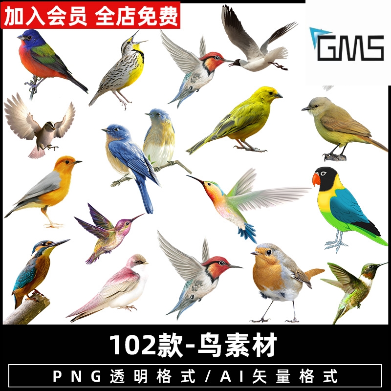 海鸥白鸽鸽子飞雁飞鸟鹦鹉剪影手绘小鸟类ps免抠png图片设计素材