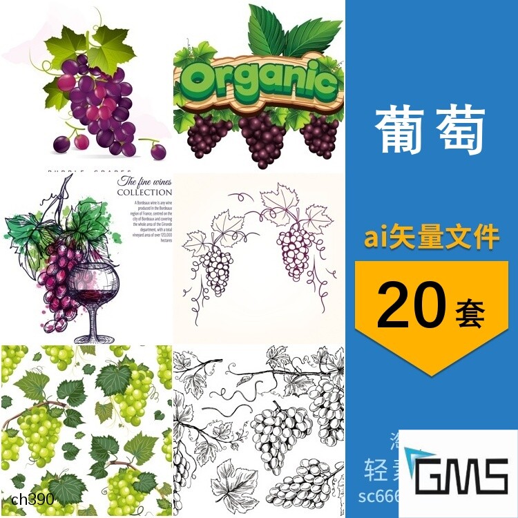 葡萄藤水果线稿卡通手绘元素图案背景插画图片ai矢量设计素材