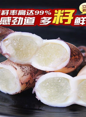 东山岛满籽海兔小管海鲜水产