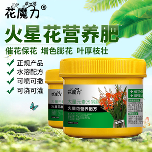 火星花专用营养肥盆栽院栽雄黄兰花镜花雄黄兰火焰兰种球四季养护