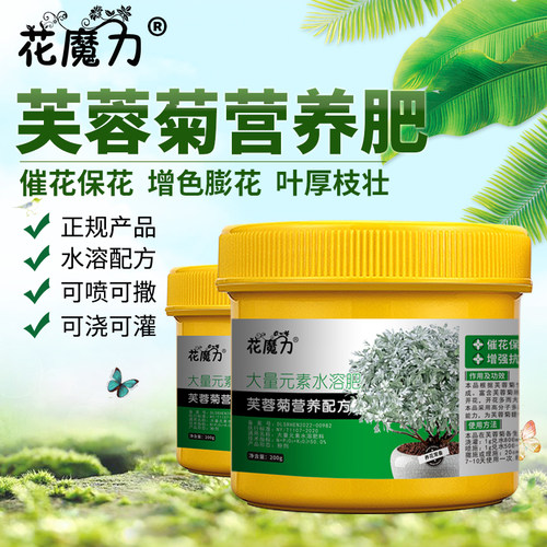 芙蓉菊专用营养肥盆栽院栽香菊玉芙蓉千年艾蕲艾四季催花养护肥料