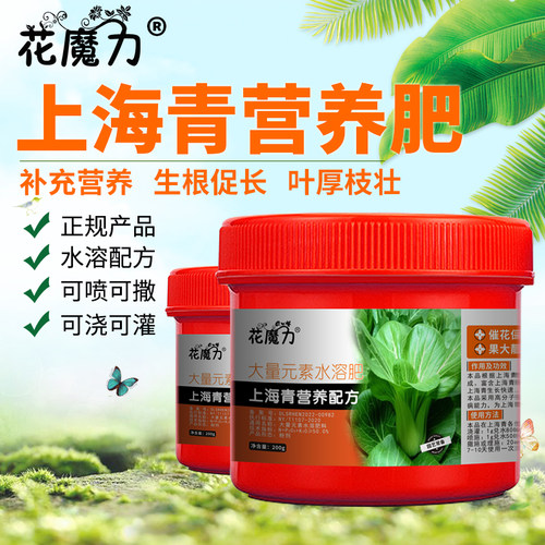 上海青盆栽专用营养肥青菜瓢菜瓶菜汤勺菜青江菜地栽庭菜园阳台肥