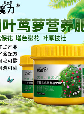 羽叶茑萝花专用营养肥茑萝松游龙草锦屏封绕龙庭院养护催花四季肥