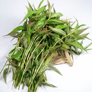 云南德宏新鲜香料山茅野菜香柳拉莎香辣柳傣味泰国凉拌撒撇作料