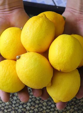 黄柠檬撒撇新鲜鲜果皮薄汁多当季水果皮薄一级香水