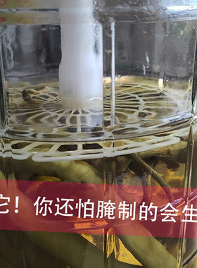 压菜神器泡菜泡辣椒压菜石压网