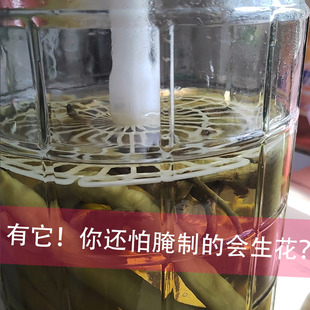 腌菜压菜石头压菜石压酸菜腌菜压菜神器泡辣椒泡菜坛子食品级压网