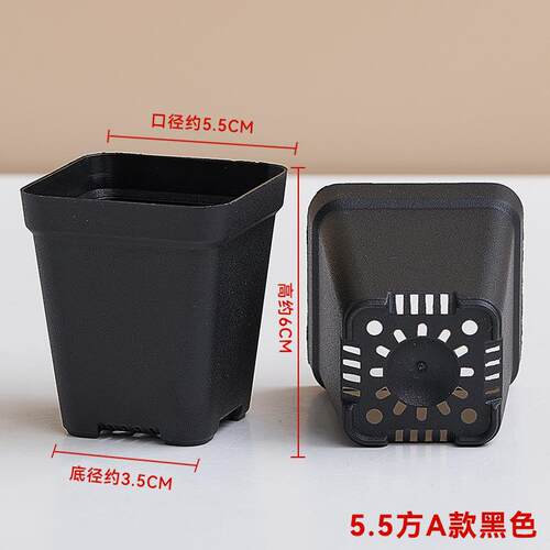 多肉基地花盆塑料方型圆型植物叶插育苗盆苗杯黑方盆绿植花卉盆栽