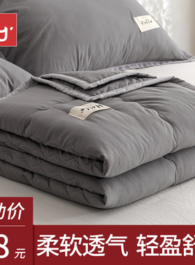 夏季水洗棉空调被夏凉被可机洗双人薄款被子被芯单人学生宿舍夏被