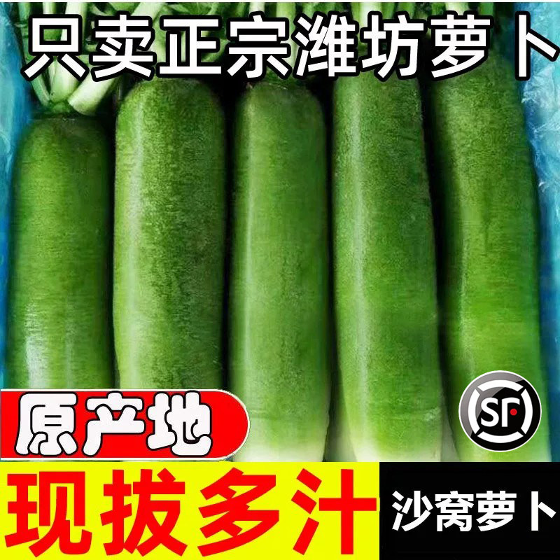 潍坊水果萝卜脆甜潍县沙窝萝卜