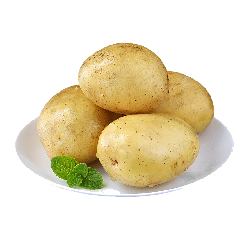 新鲜黄心土豆当季蔬菜