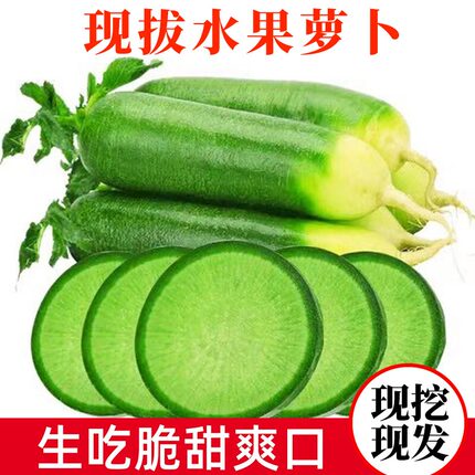 水果萝卜甜脆水果型新鲜青皮绿萝卜山东潍坊沙窝萝卜天津生吃正宗