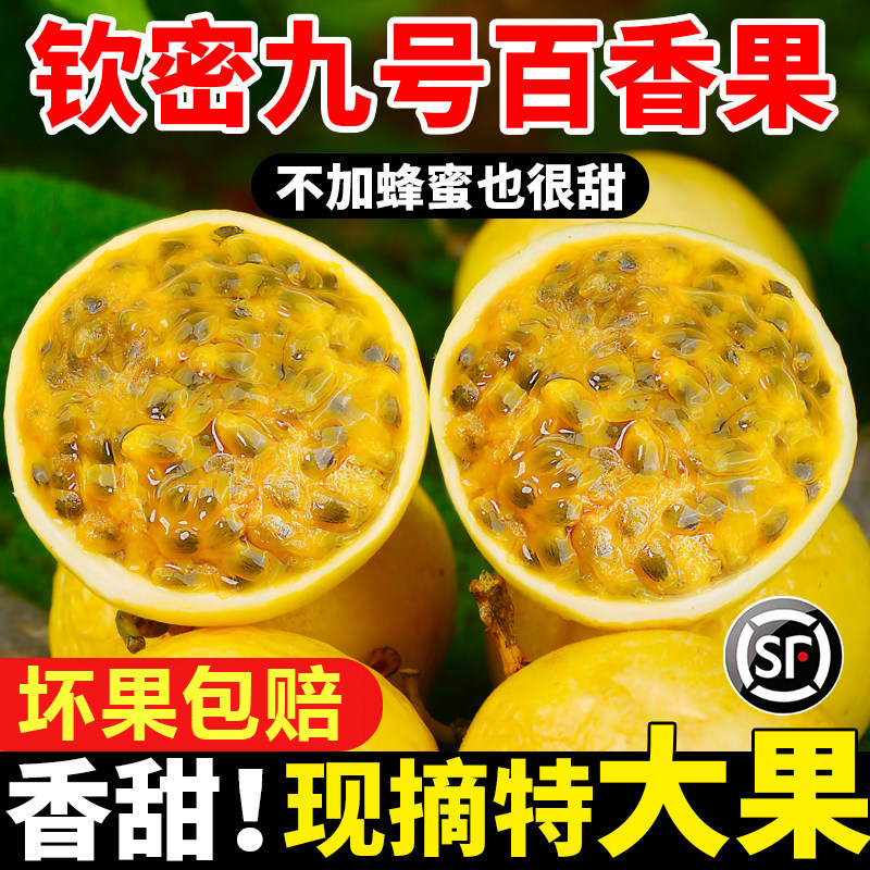 广西钦蜜9号黄金百香果现摘大果