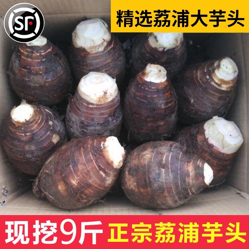 广西荔浦新鲜大芋头9斤包邮正宗现挖粉香芋槟榔芋艿紫藤毛芋5整箱