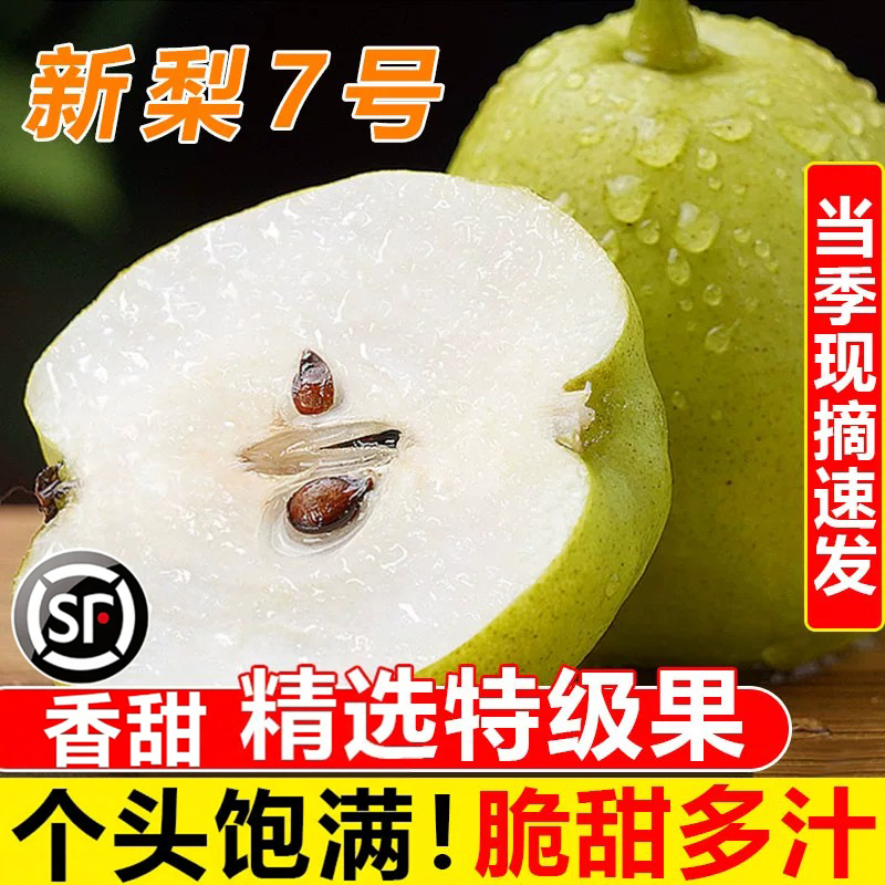 新疆库尔勒香梨特大果水果香梨子